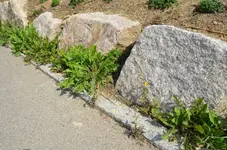 2011_07_29_0001.webp