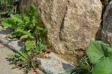 2011_07_29_0002.webp