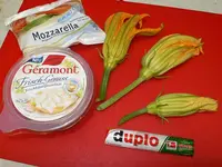 zucchini_blueten_29_7_11_I.webp