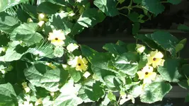 DSC03710.webp