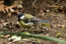 29.7.11 550d (32 von 70).webp