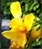 comp_DSC03700.webp