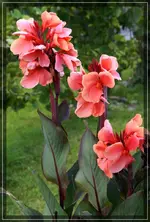 comp_DSC03703.webp