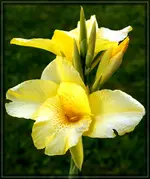 comp_DSC03705.webp