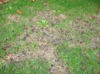 IMG_0552.webp