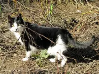 tn_IMG_3814v.webp