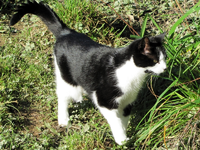 tn_IMG_3819v.webp