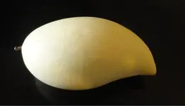 Thai-Mango.webp