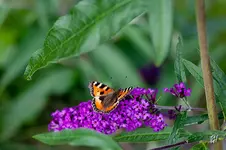 blog_5256.webp