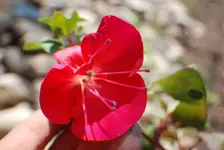 DSC_0028.webp