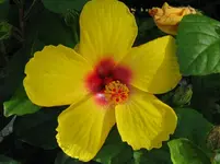 IMG_2004_1067x800.webp