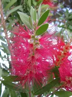 IMG_2008_600x800.webp
