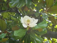 IMG_3714_1067x800.webp