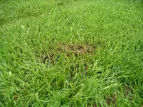 IMGP2964.webp