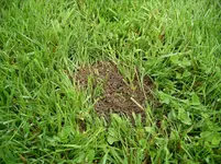 IMGP2962.webp