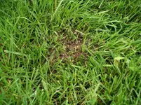 IMGP2963.webp
