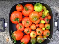 BILD0106.webp