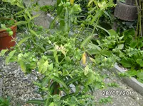 BILD0001.webp