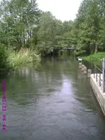PIC00005.webp