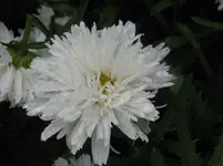 IMG_6106_1067x800.webp