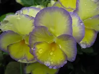 IMG_6116_1067x800.webp