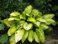 DSCN0656.webp