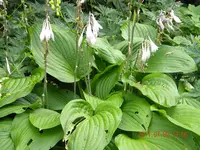 DSCN0657.webp