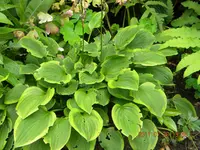 DSCN0659.webp