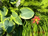 DSCN0530.webp