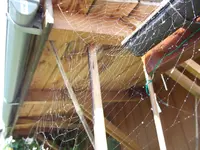 DSCF0499.webp