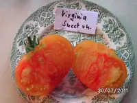 BILD0107.webp