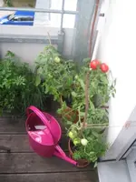 IMG_0757klein.webp