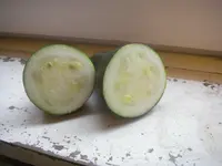 IMGP3972.webp