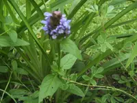 BILD0747.webp