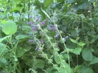 BILD0843.webp