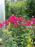 DSC07092.webp