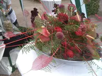 30.07.11 016.webp