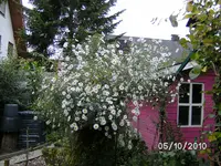 BILD1643.webp