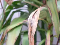 P1050900.webp