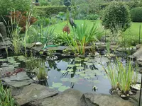 DSC00240.webp