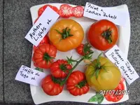 BILD0109.webp