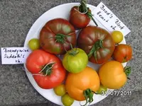 BILD0113.webp