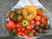 BILD0114.webp