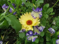 IMG_6180_1067x800.webp