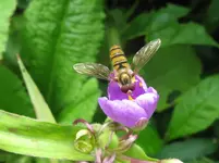 IMG_6170_1067x800.webp