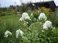 DSCN0017.webp