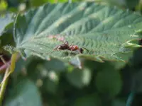 DSCN0038.webp