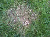 Eschborn-20110722-00037.webp
