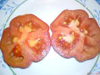 DSC01172.webp