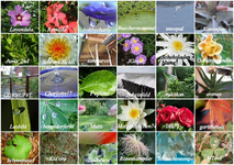 tn_New Folder.webp